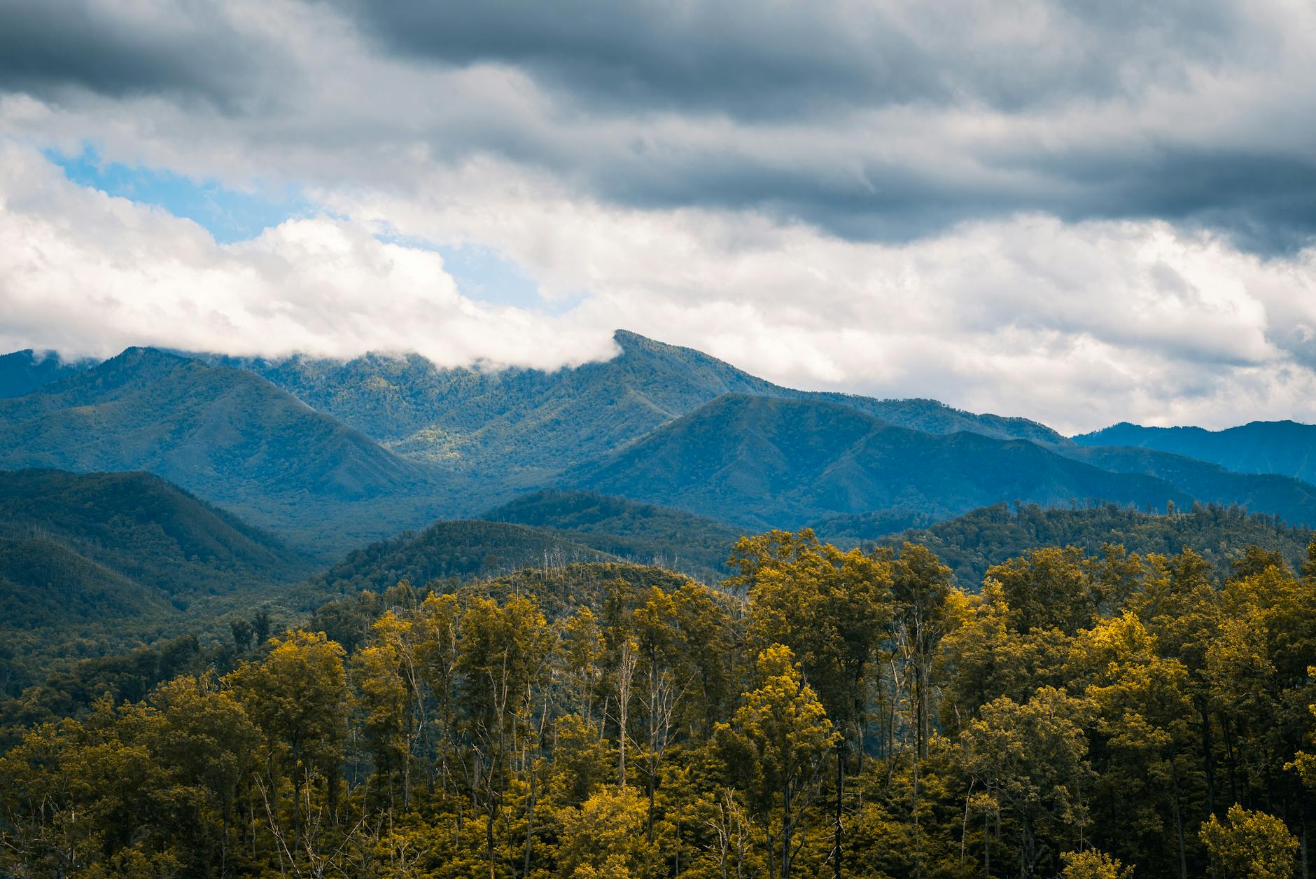 A scenic view of rolling mountains under a cloudy sky, with trees in the foreground displaying autumn colors.